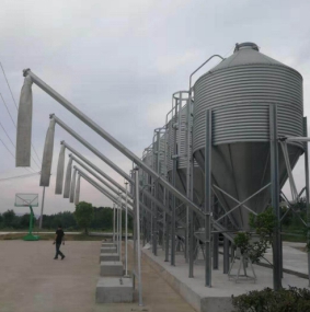 料塔的運(yùn)輸系統(tǒng)！你必須了解的知識(shí)！